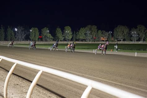 cal expo harness results